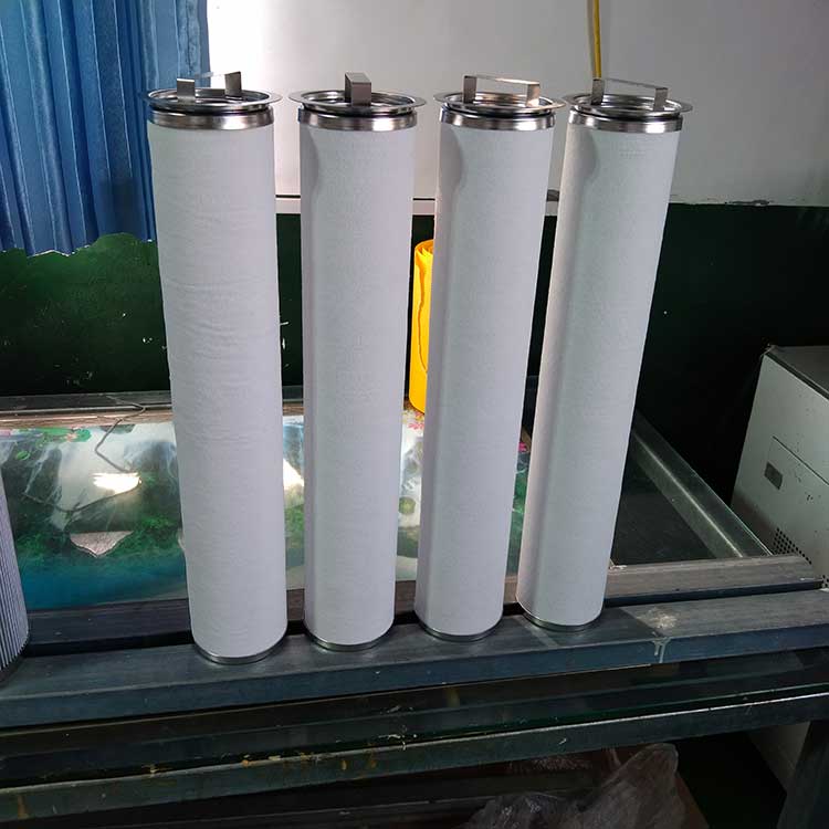 BE096520F020BQ(LCS2B1AH)聚結(jié)濾芯-(1)